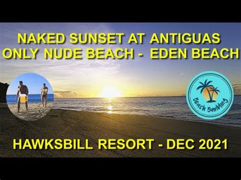 nude beaches antigua|Naked Sunset At Antiguas Only Nude Beach